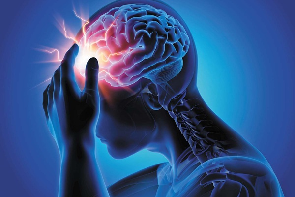 Neuropeptydy – czym są i jak działają na organizm?